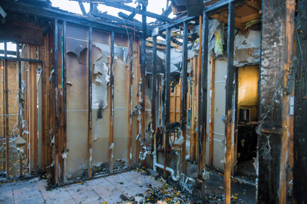 Professional Fire Damage Cleanup technician working in Odenton, MD